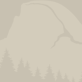 team member image